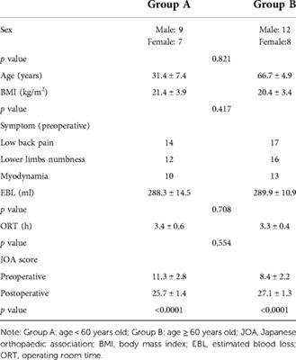The treatment efficacy of cortical bone trajectory (CBT) pedicle screws for lumbar degenerative disease in the Chinese Han population